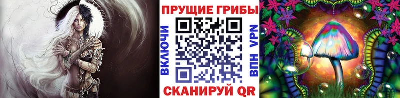 дарнет шоп  Трубчевск  Галлюциногенные грибы мицелий 